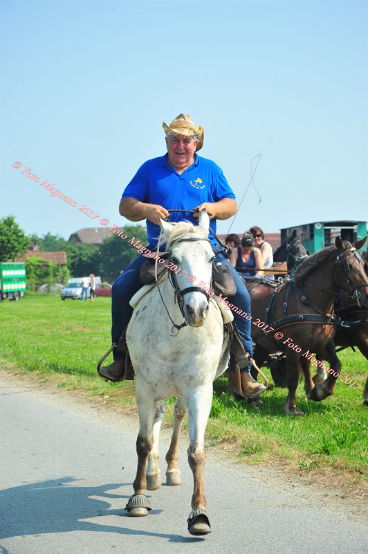 DSC_0777.JPG